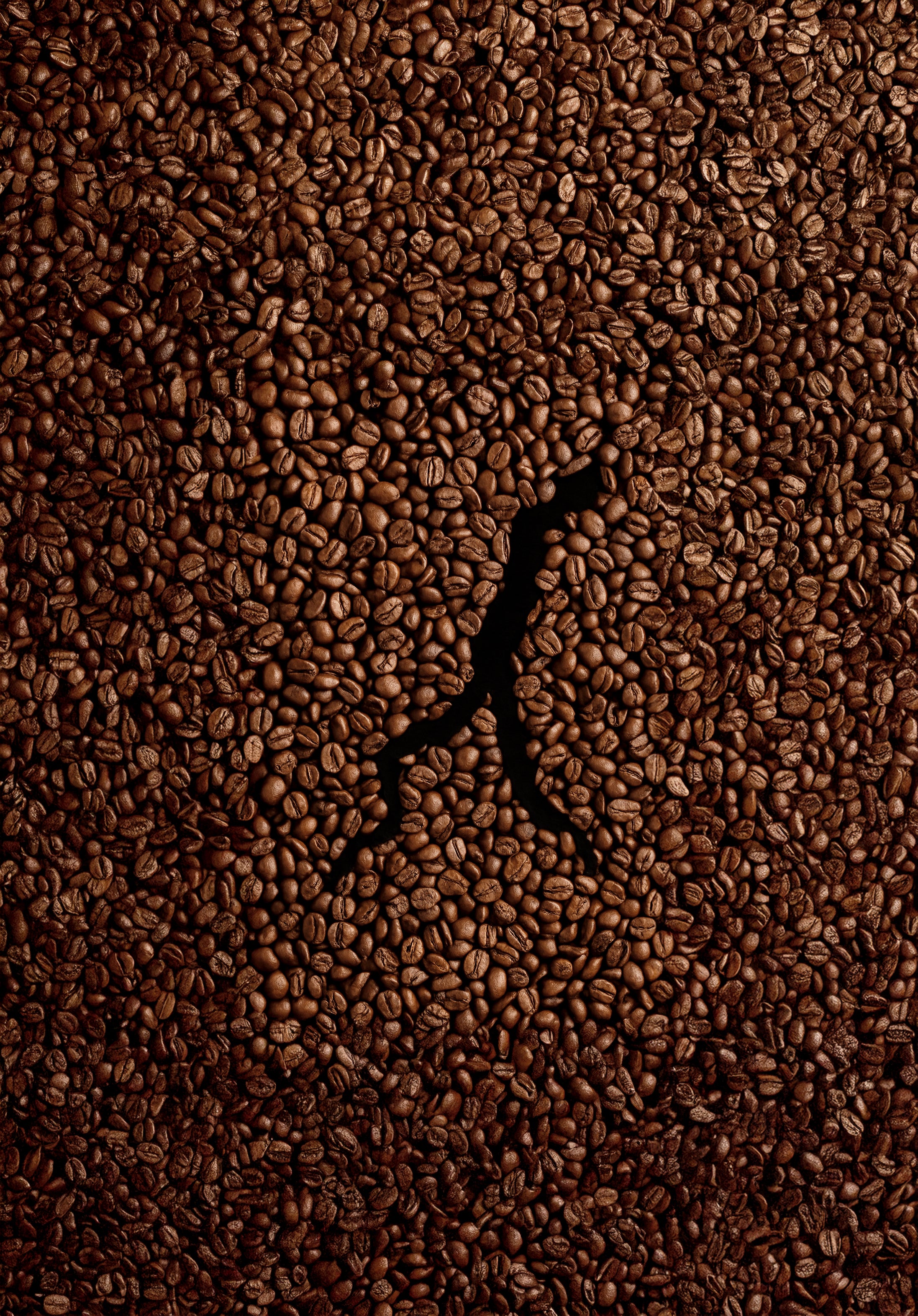 Immagine grafica dl lago di Como su chicchi di caffè