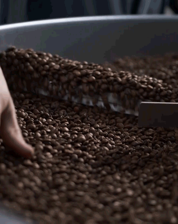 Video produzione caffè in grani