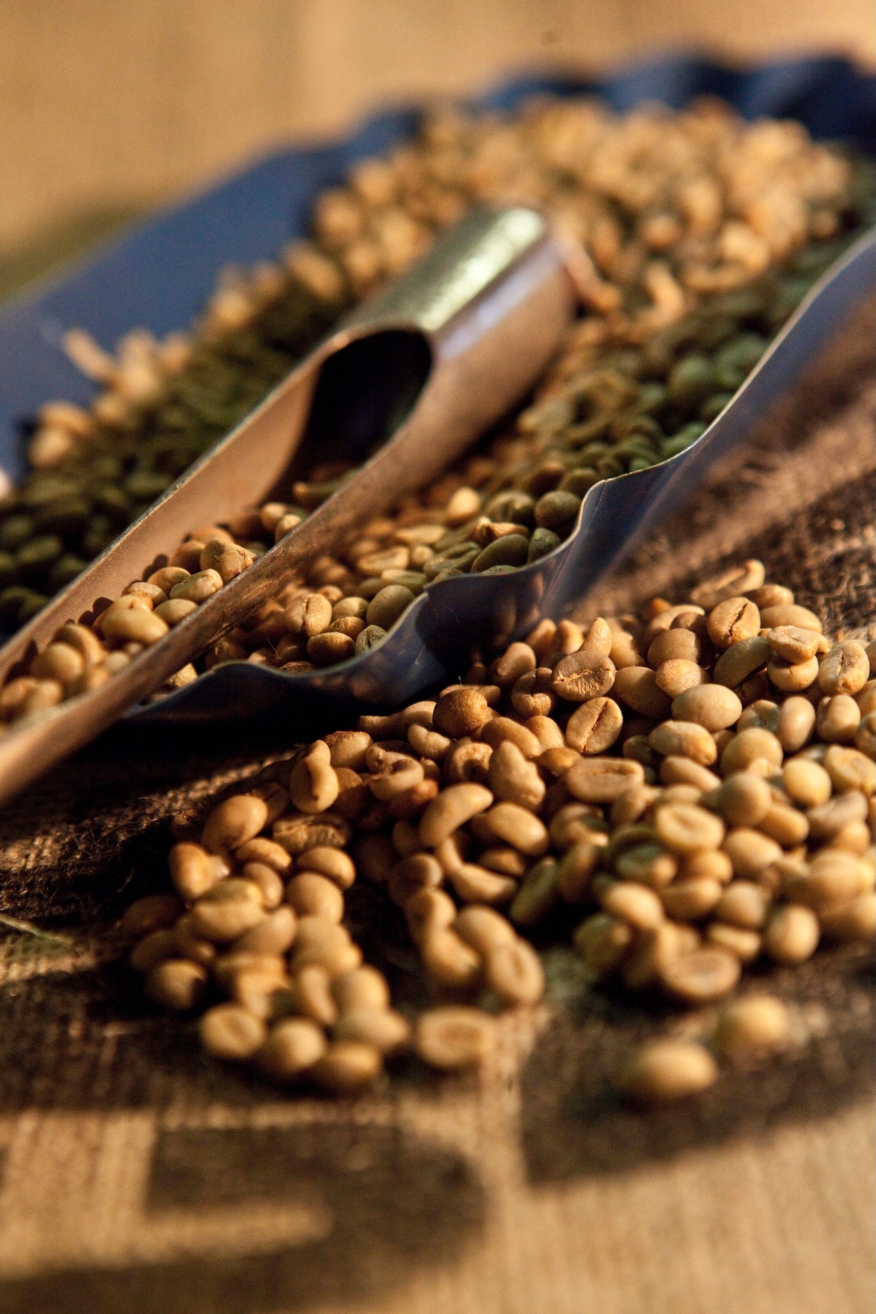 Selezione dei chicchi